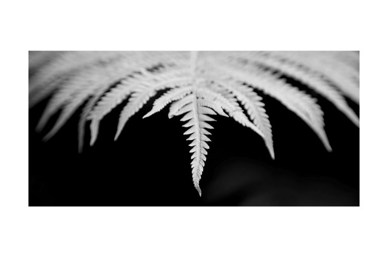 72dea76b-e38b-40f0-8274-f763327c5e30